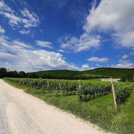 Agriturismo Andreis Alloggi Illasi المظهر الخارجي الصورة